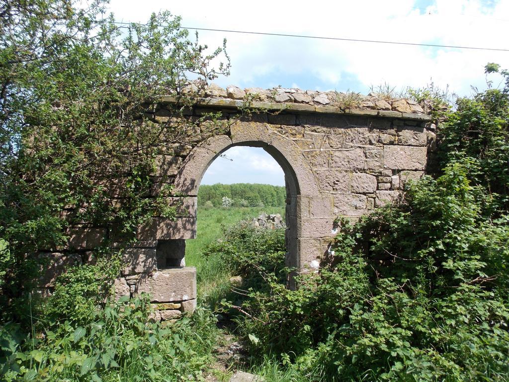 Ash Hill B & B Kilmallock Bagian luar foto