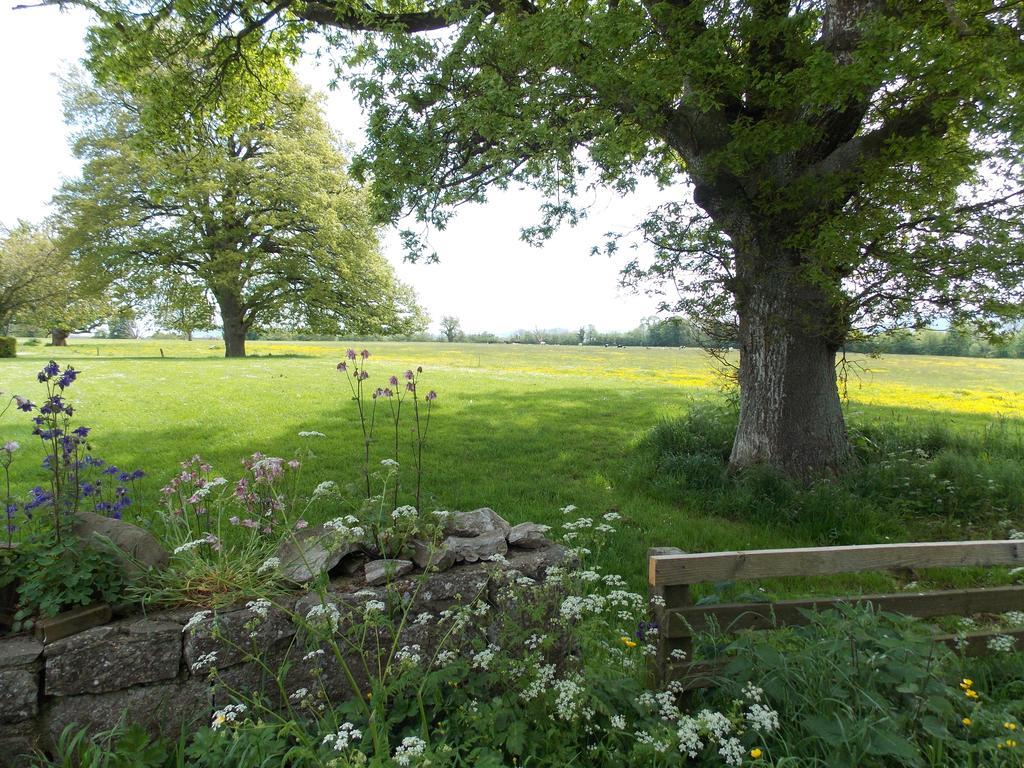 Ash Hill B & B Kilmallock Ruang foto