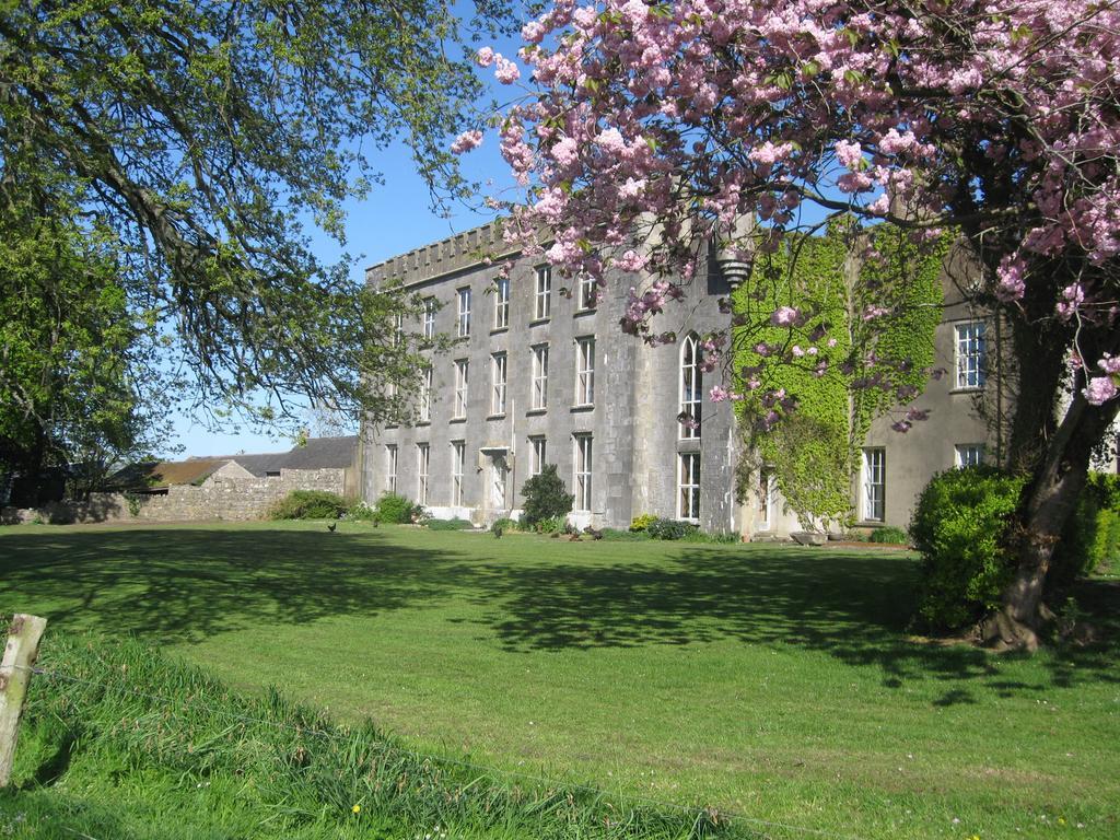Ash Hill B & B Kilmallock Bagian luar foto