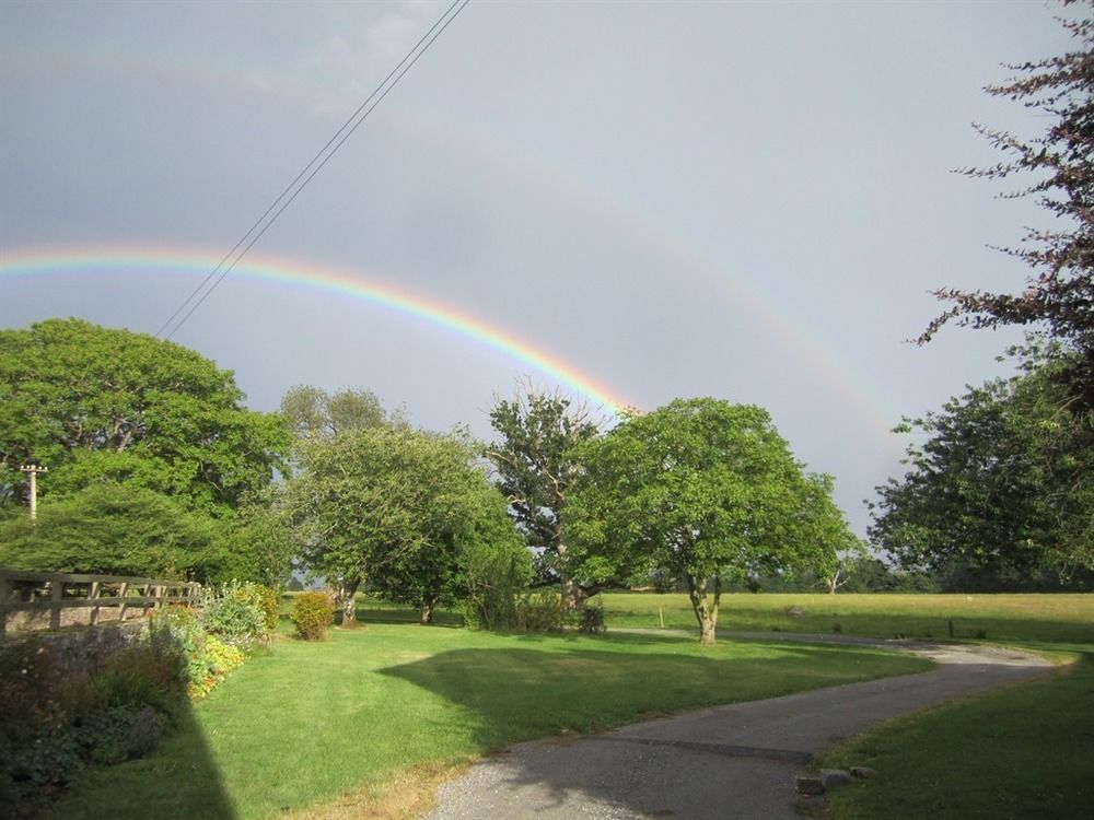 Ash Hill B & B Kilmallock Bagian luar foto