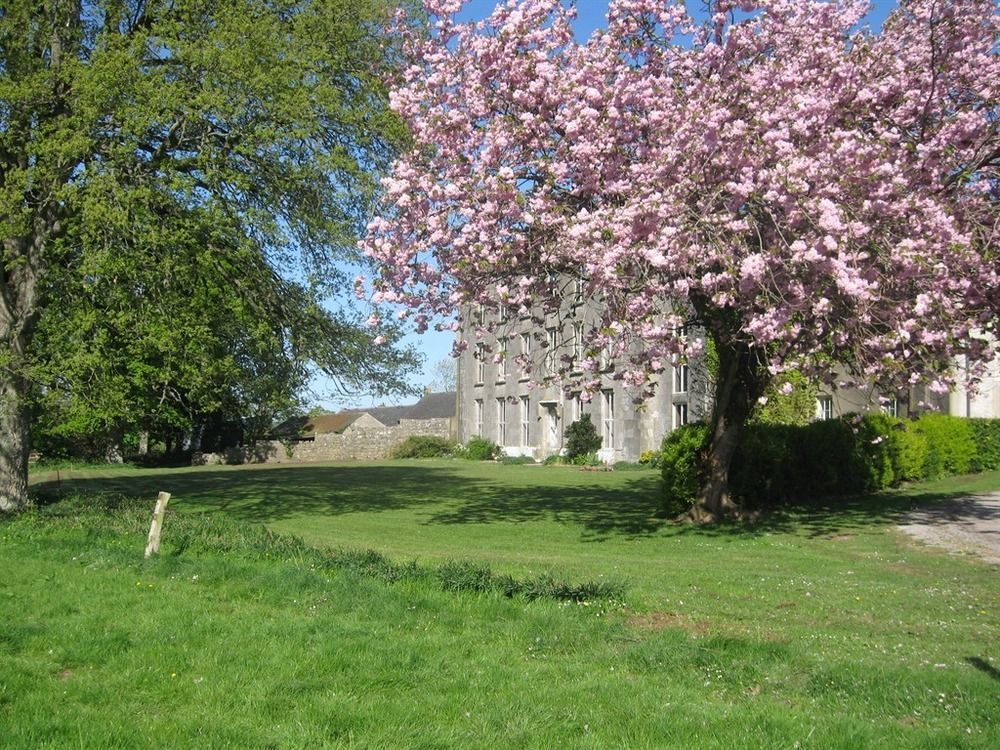 Ash Hill B & B Kilmallock Bagian luar foto