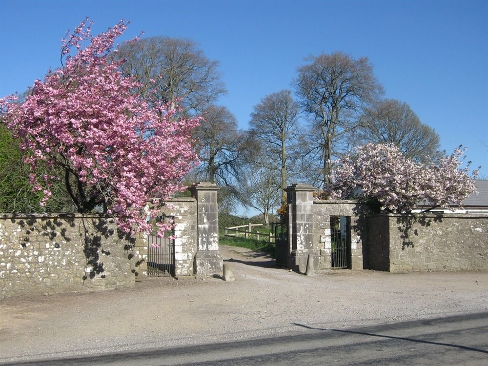 Ash Hill B & B Kilmallock Bagian luar foto